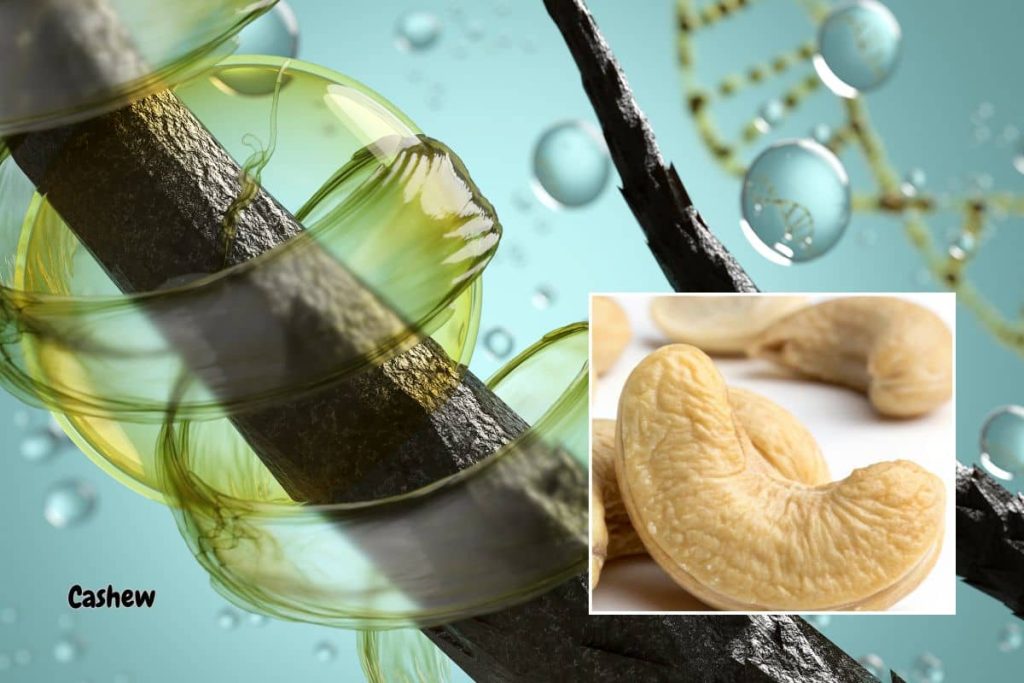 Supports Bone Health of cashew