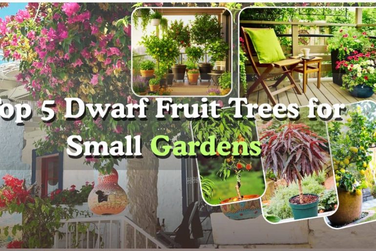 Top 5 Dwarf Fruit Trees for Small Gardens Small-Space Gardening Guide 2025