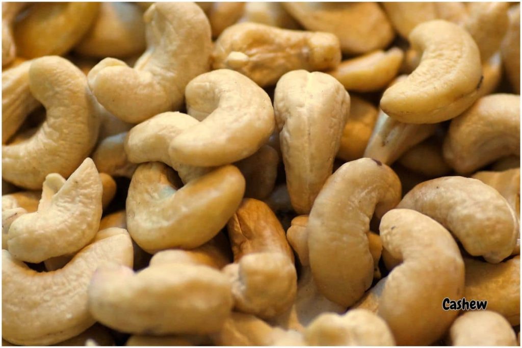 cashew nuts image
