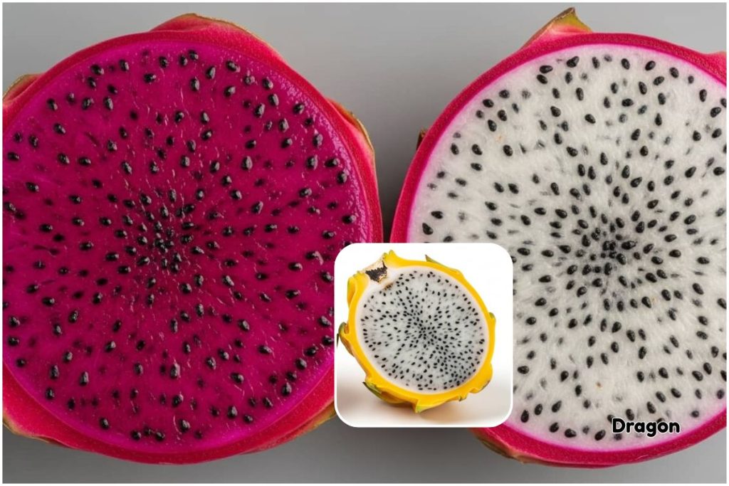 dragon fruit varieties
