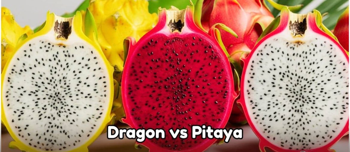 pitaya and dragon fruits