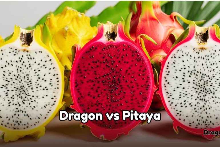 pitaya and dragon fruits